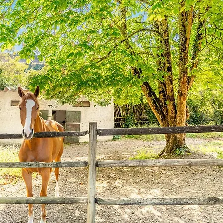 Quinta Do Boicao Holiday home