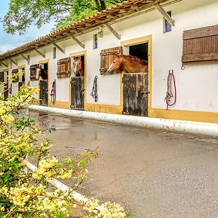 Nyaraló Quinta Do Boicao *