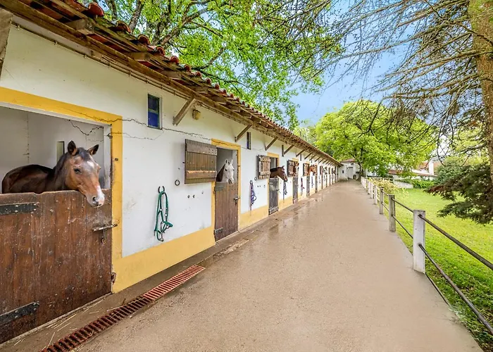 Quinta Do Boicao * Lisboa