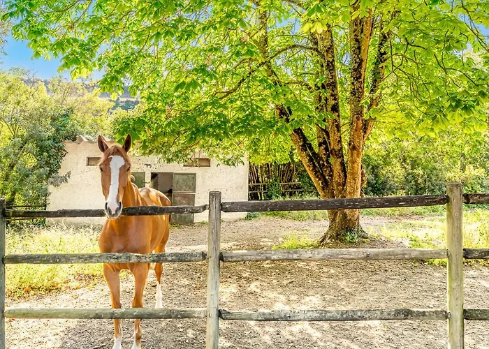 Quinta Do Boicao Сasa de vacaciones