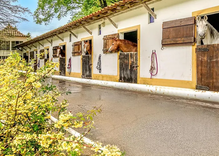 Сasa de vacaciones Quinta Do Boicao *