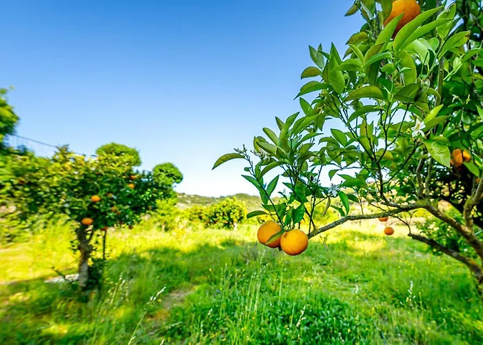 Quinta Do Boicao Сasa de vacaciones Lisboa