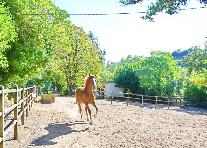 Quinta Do Boicao Lisboa