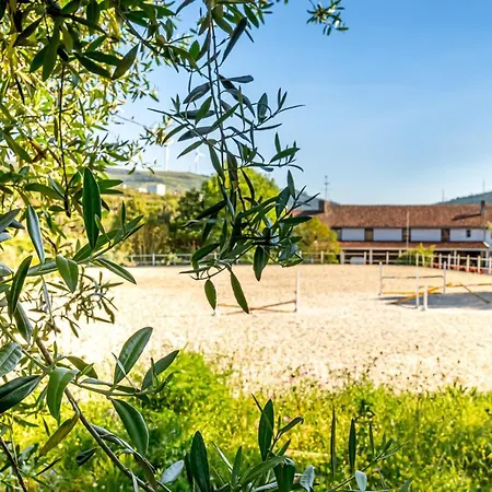Quinta Do Boicao 펜션 리스본
