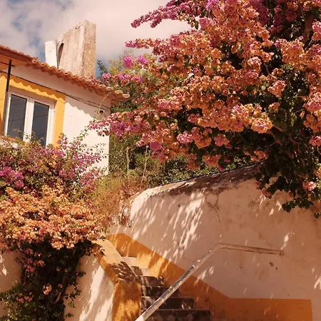 Feriehus Quinta Do Boicao *