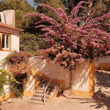 Feriehus Quinta Do Boicao Lisboa