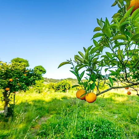 Quinta Do Boicao Дом отдыха Лиссабон
